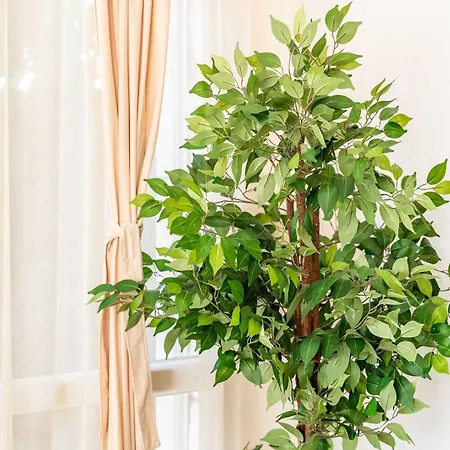 King - Four Bedroom House With Terrace Дом отдыха *