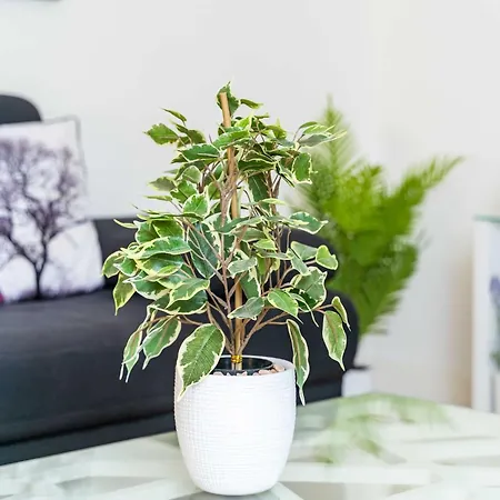 Ferienhaus King - Four Bedroom House With Terrace