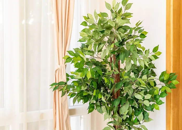 King - Four Bedroom House With Terrace Сasa de vacaciones *