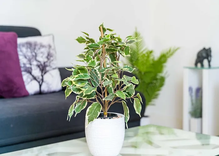 Сasa de vacaciones King - Four Bedroom House With Terrace